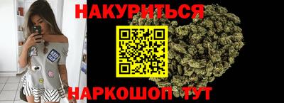 индика Аргун