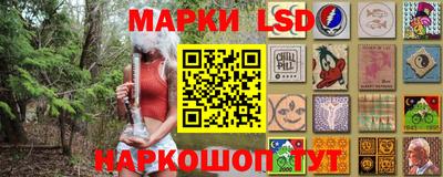 индика Аргун