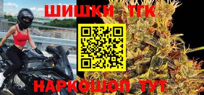 индика Аргун