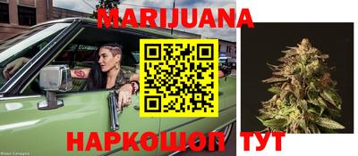 индика Аргун