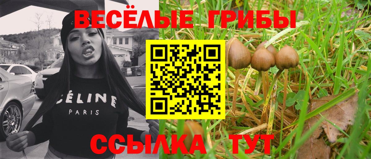что такое наркотик  Вход с VPN  Апшеронск  Псилоцибиновые грибы GOLDEN TEACHER  Псилоцибиновые грибы Cubensis 